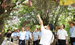 2022年9月27日 “闽籍侨领故乡行”走进漳州